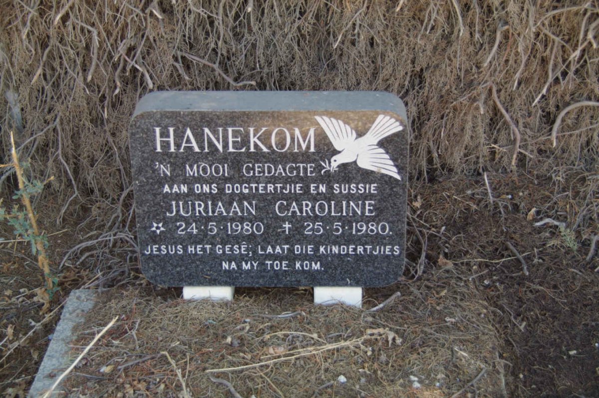 HANEKOM Juriaan Caroline 1980-1980