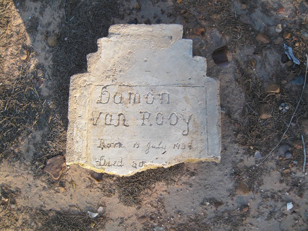 ROOY Damon, van 1989-??
