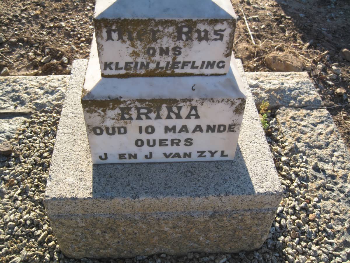 ZYL Erina, van