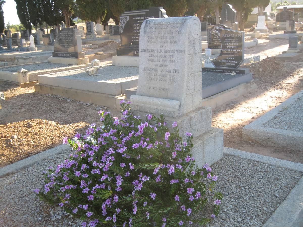 ZYL Pieter de V., van 1864-1936 &amp; Johanna C.P. DU TOIT 1871-1946