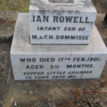 DOMMISSE Ian Rowell -1901