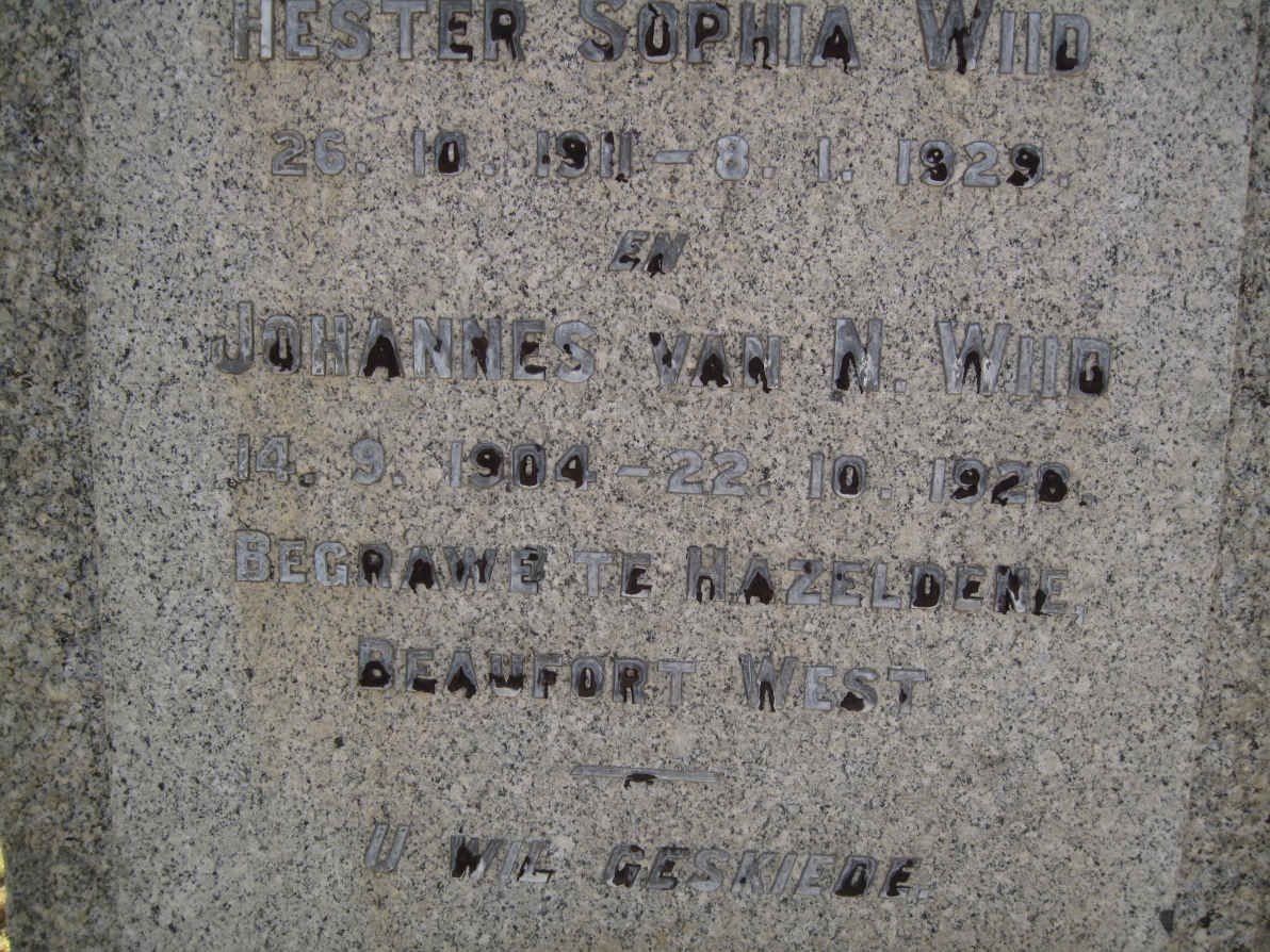 WIID Johannes van N. 1904-1928