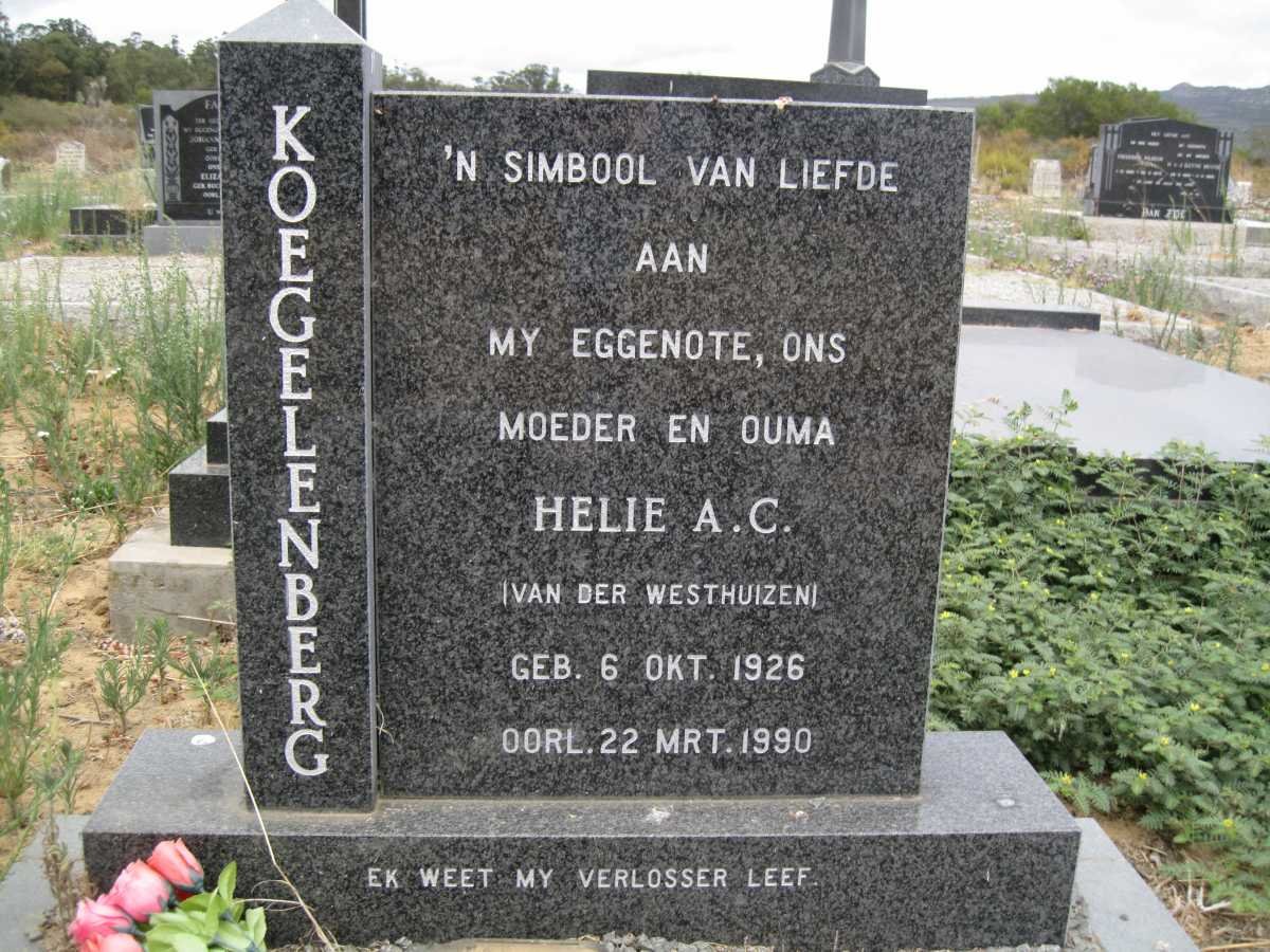 KOEGELENBERG Helie A.C. nee VAN DER WESTHUIZEN 1926-1990