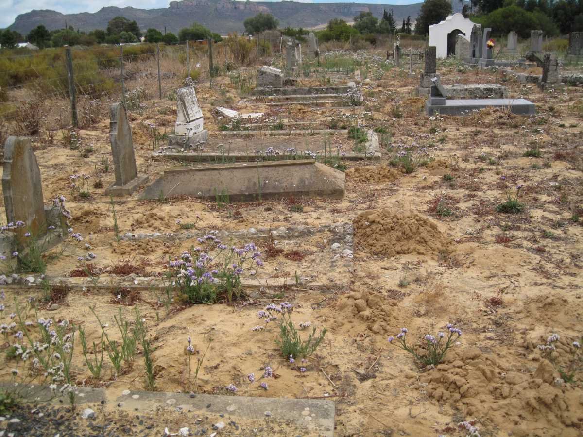 5. Overview