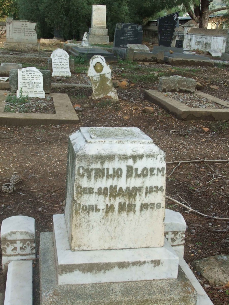 BLOEM Cyrilio