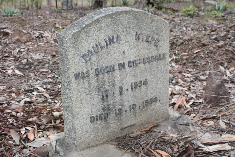 NTEPE Paulina 1954-1954