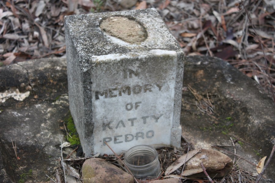 PEDRO Katty