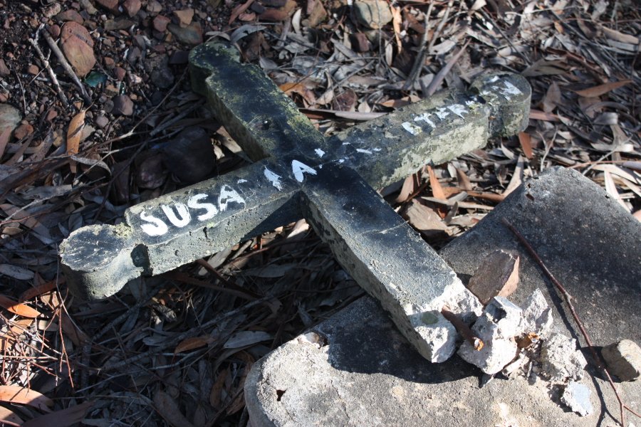 ? Susan?