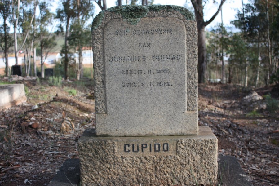 CUPIDO