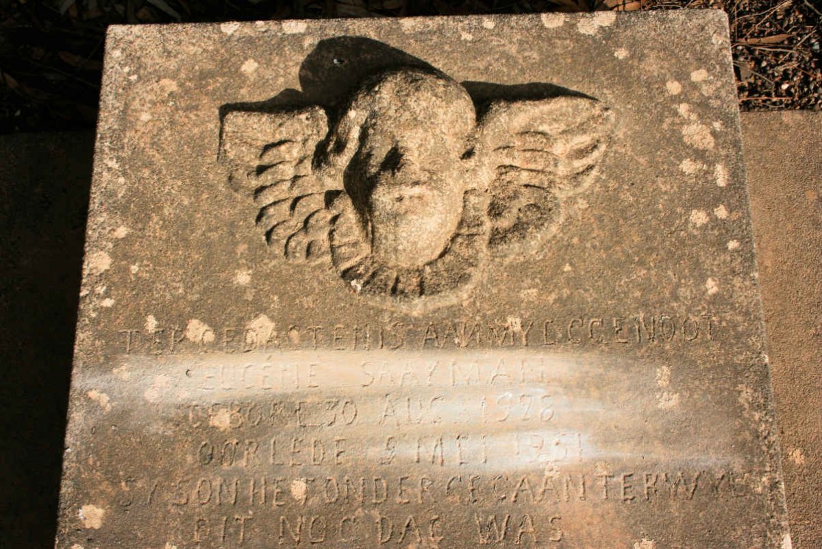SAAYMAN Eugene 1828-1951