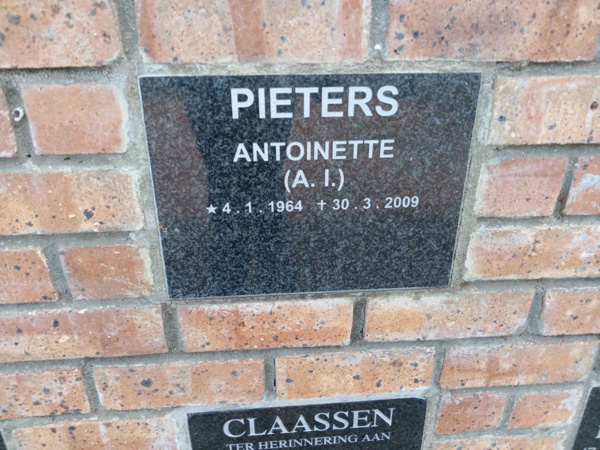PIETERS Antoinette A.I. 1964-2009