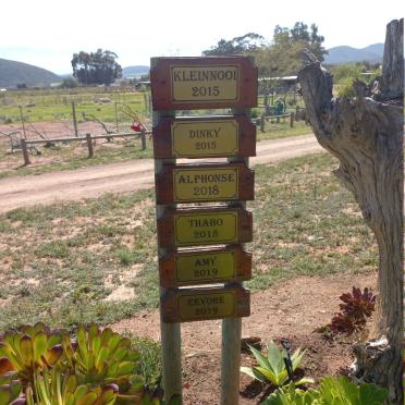 4. Pet memorials