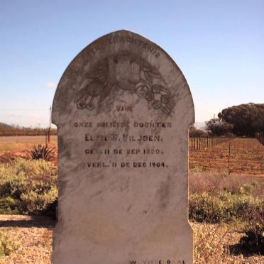 VILJOEN Elsie S. 1880-1904