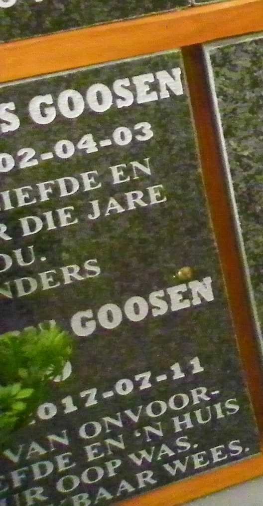 GOOSEN Cornelis Johannes 1934-2002 &amp; ? -2017