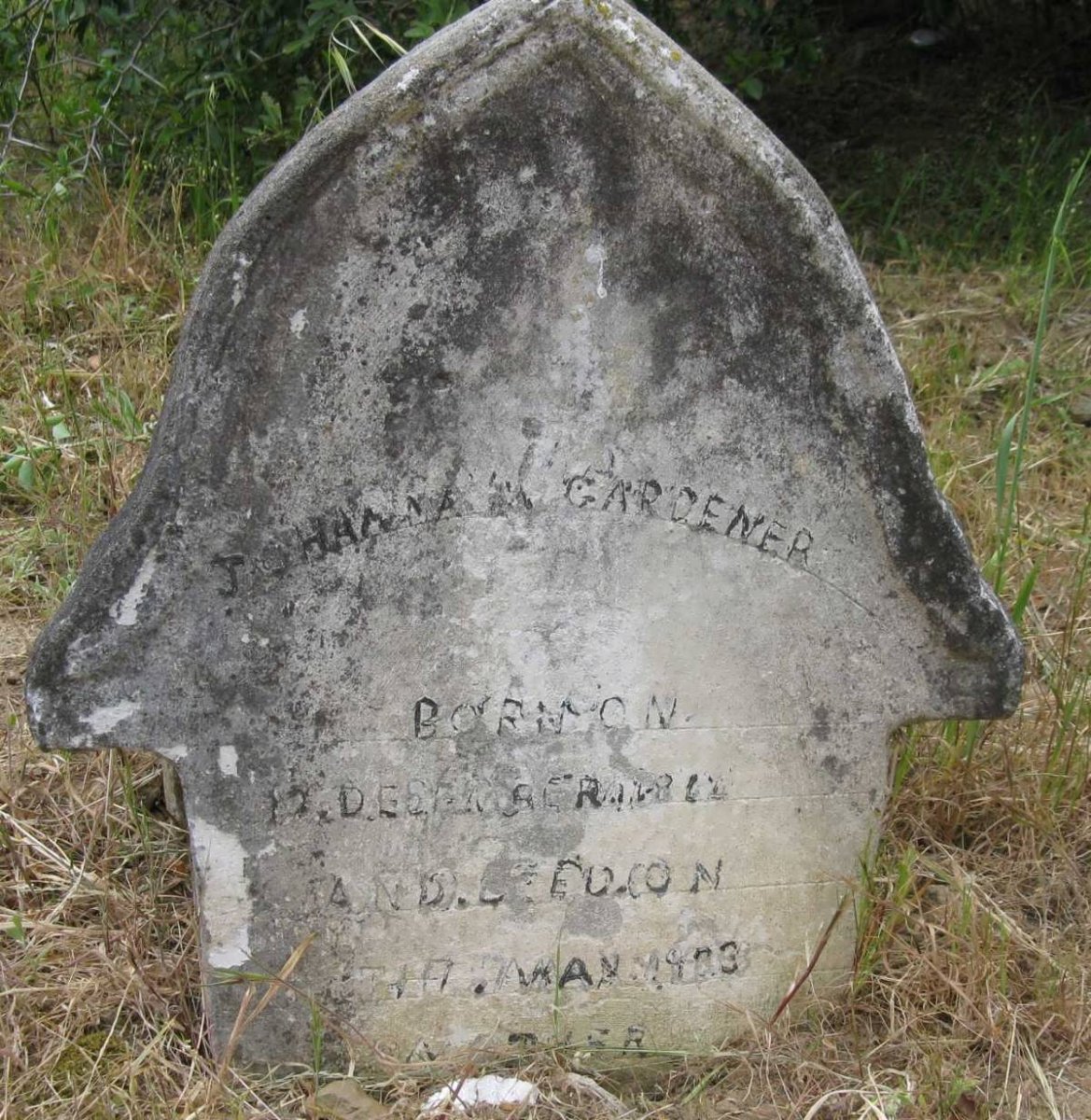 GARDENER Johanna G. 1913-1994