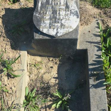 ERWEE Jutie 1932-1938
