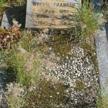 FRANKEN Stevie 1952-19??