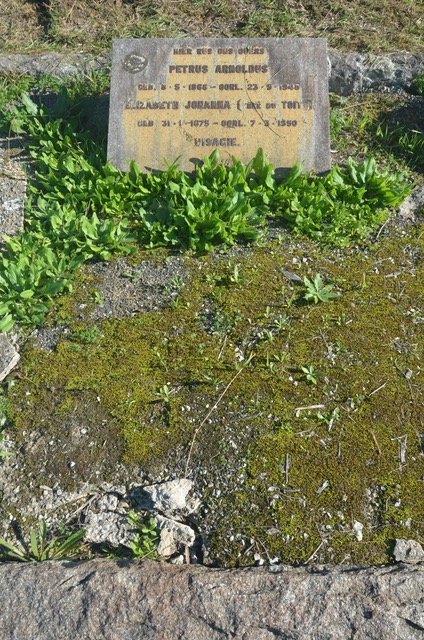 VISAGIE Petrus Arnoldus 1865-1946 & Elizabeth Johanna DU TOIT 1875-1950