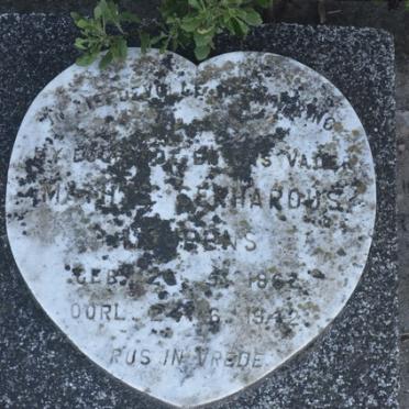 LOURENS Mathys Gerhardus 1862-1942