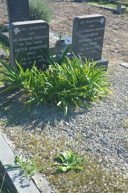 TOIT Pieter Johannes, du 1906-1979 & Elizabeth Johanna FOURIE 1906-1980