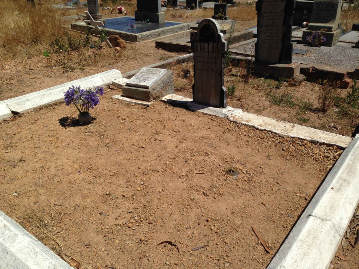 DELPORT Johannes 1845-1916 :: DELPORT Marthinus Johannes 1896-1928