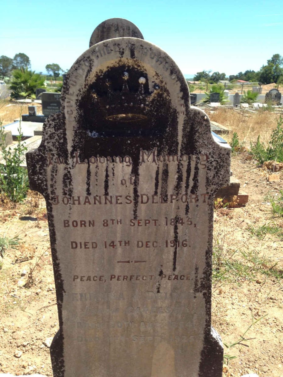 DELPORT Johannes 1845-1916