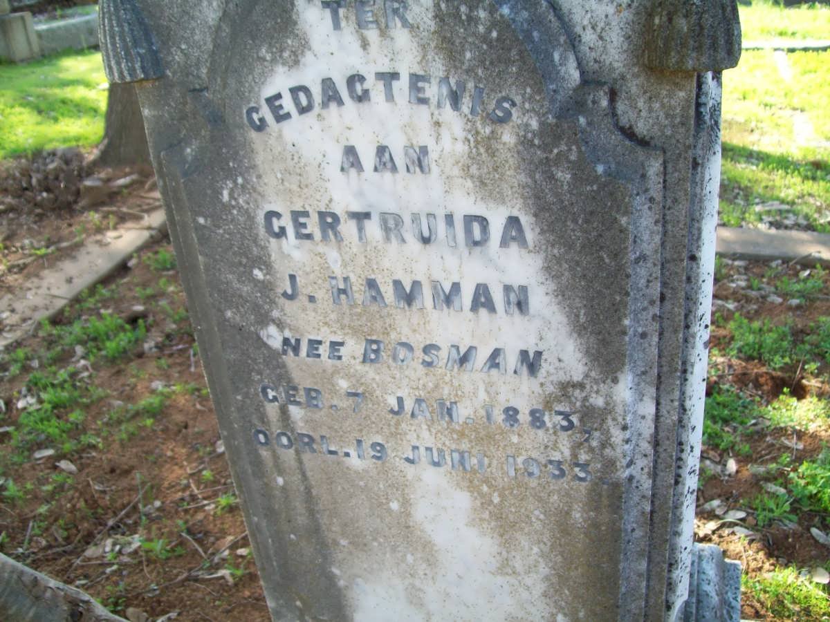 HAMMAN Gertruida J. nee BOSMAN 1883-1933