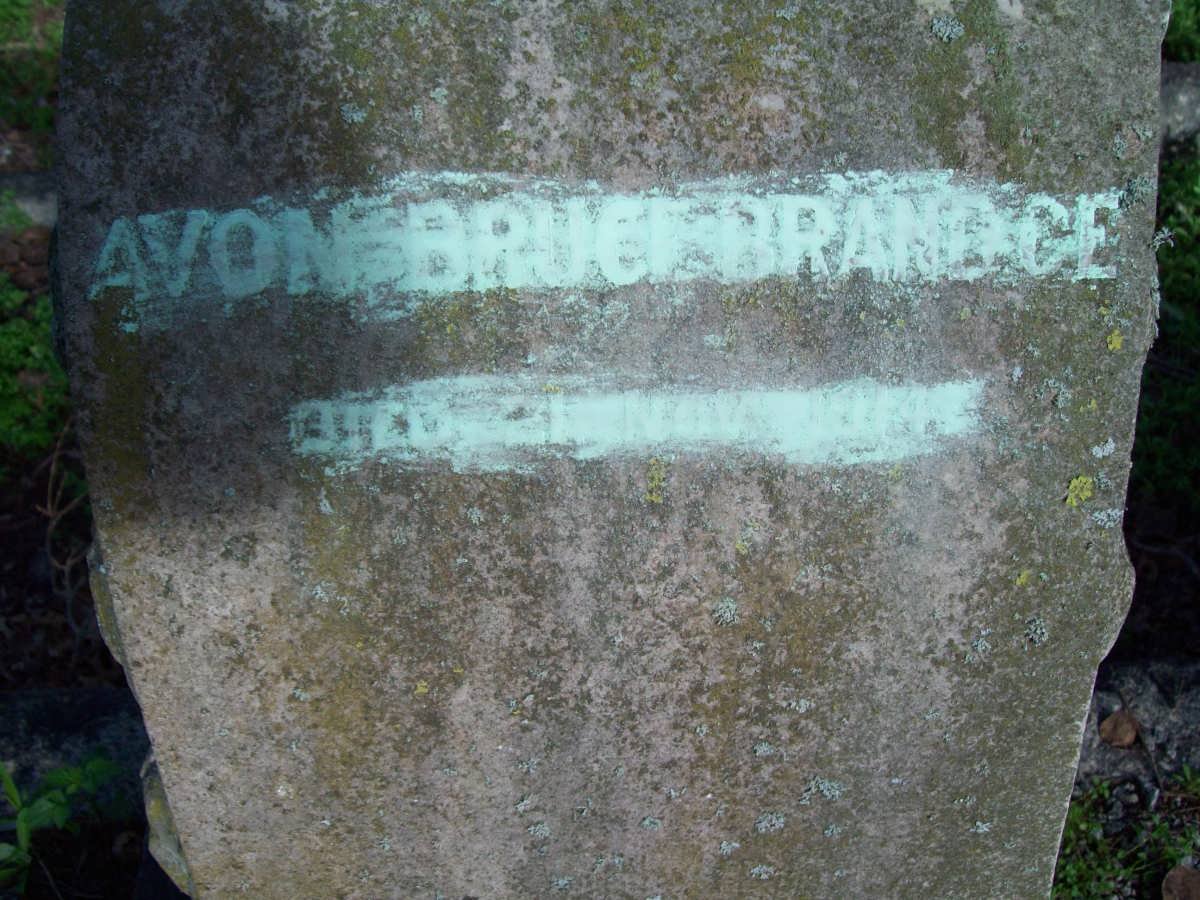 BRAND Avon Bruce -1914