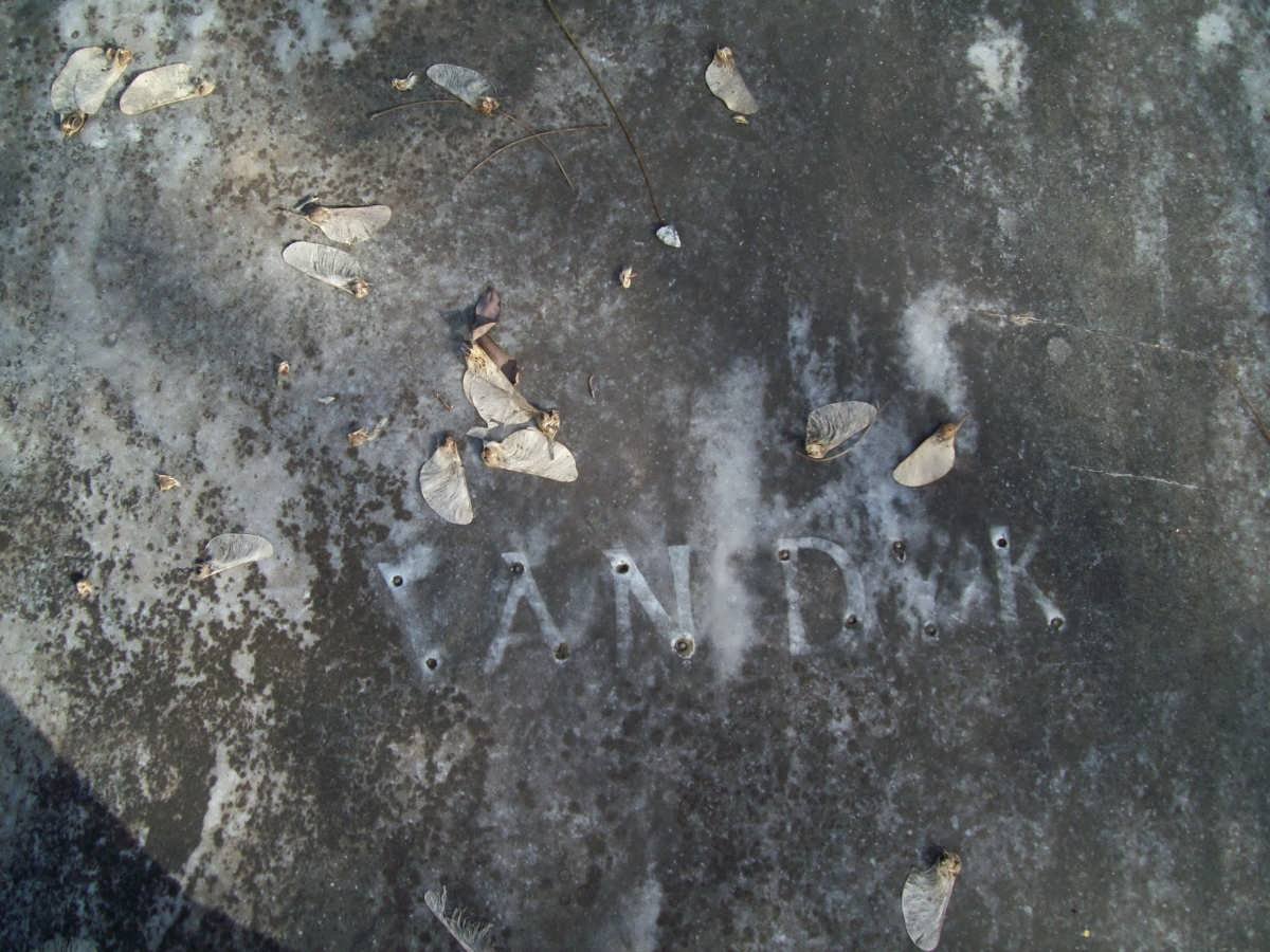 DYK, van