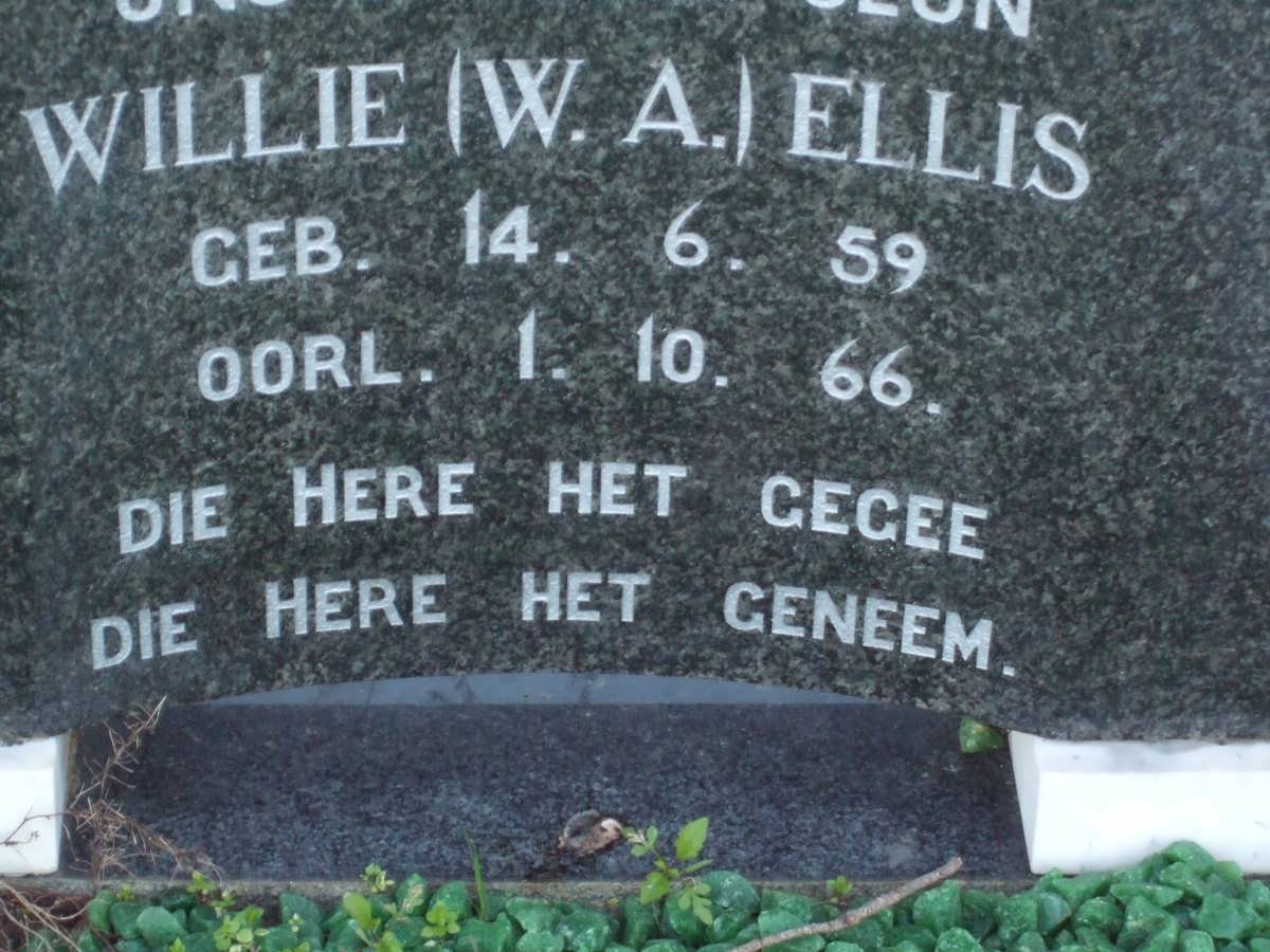 ELLIS W.A. 1959-1966