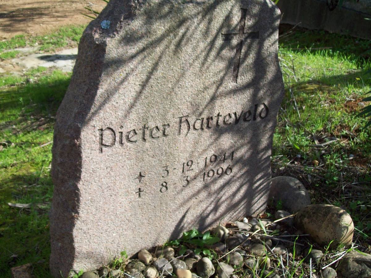 HARTENVELD Pieter 1944-1996