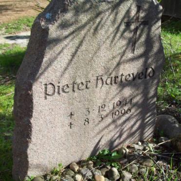 HARTENVELD Pieter 1944-1996