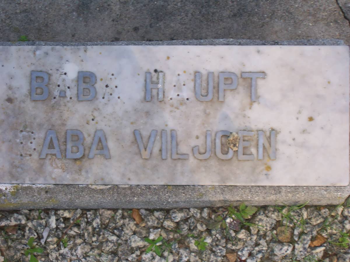 HAUPT baby :: VILJOEN baby