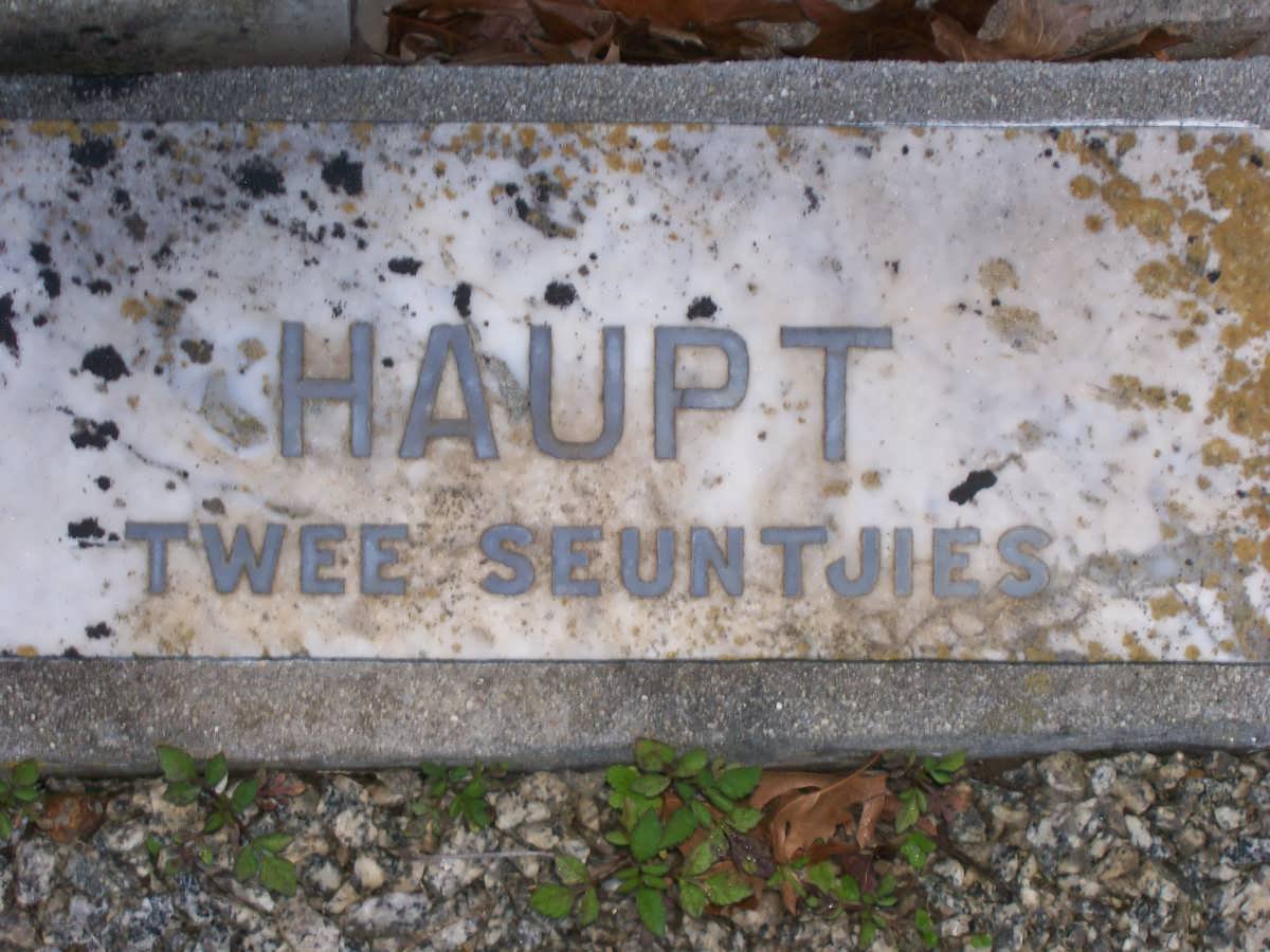 HAUPT twin boys