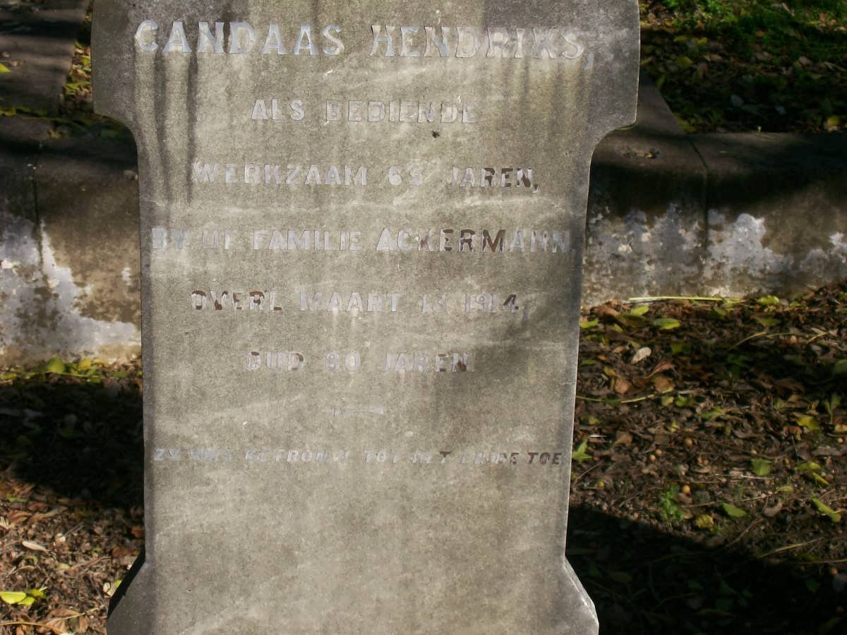 HENDRIKS Candaas -194