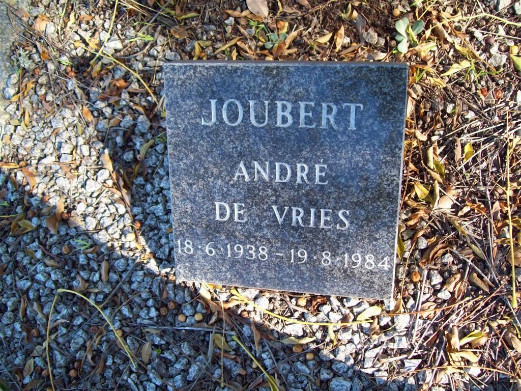 JOUBERT Andre de Vries 1938-1984