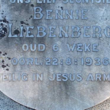 LIEBENBERG Bennie 1936-1936