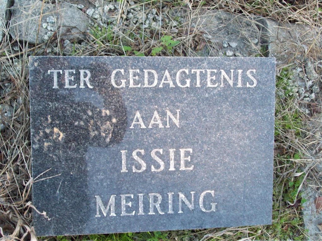 MEIRING Issie