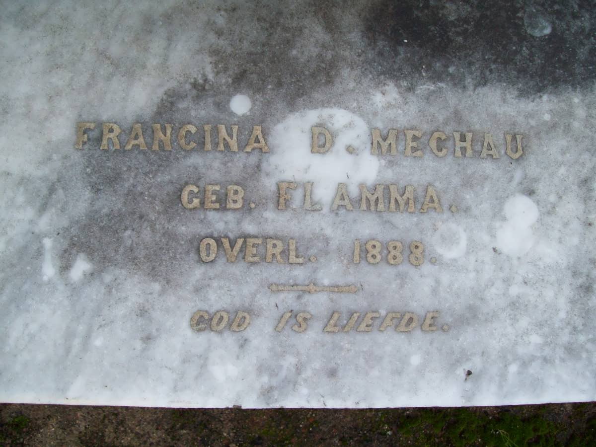 MECHAU J. Franciscus -1904 &amp; Hester J DE KOK -1890 :: MECHAU Francina D. nee FLAMMA -1888