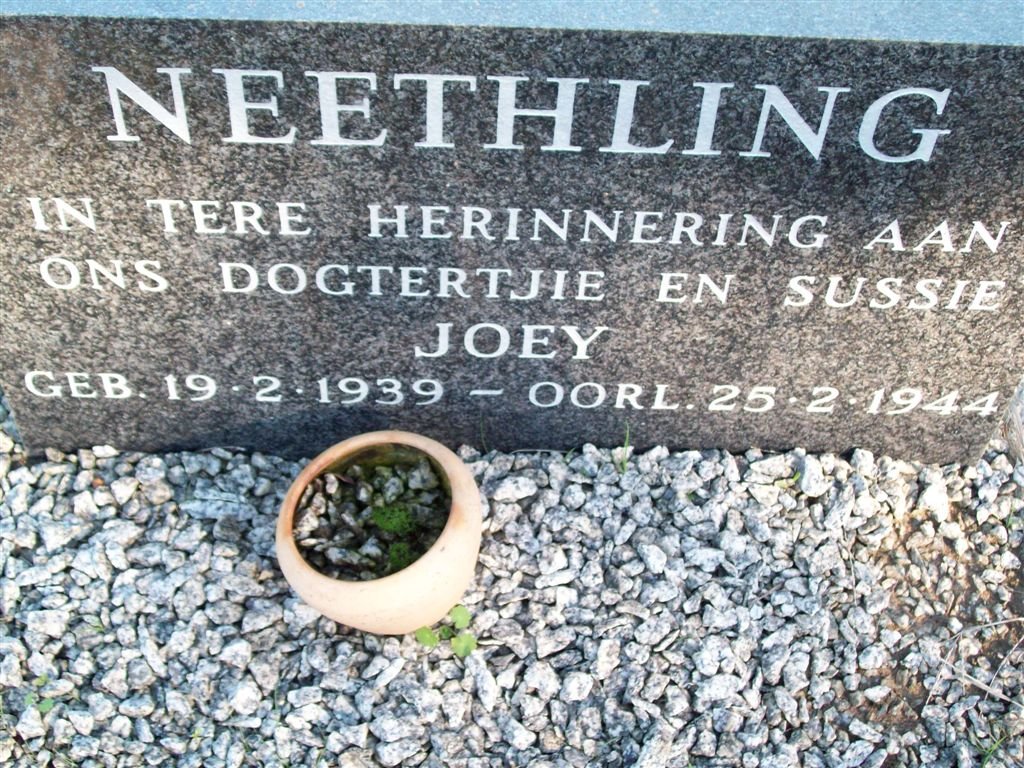 NEETHLING Joey 1939-1944