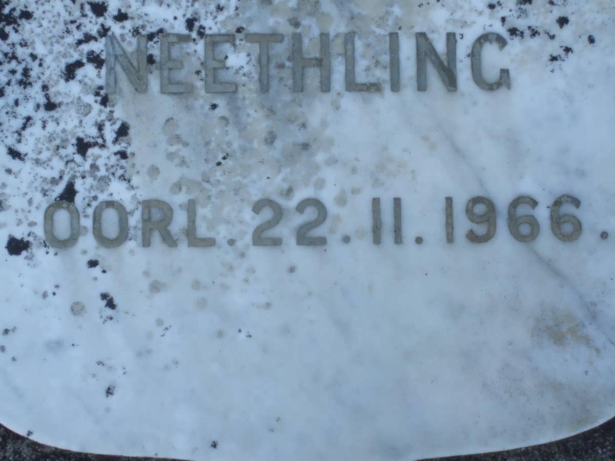 NEETHLING -1966