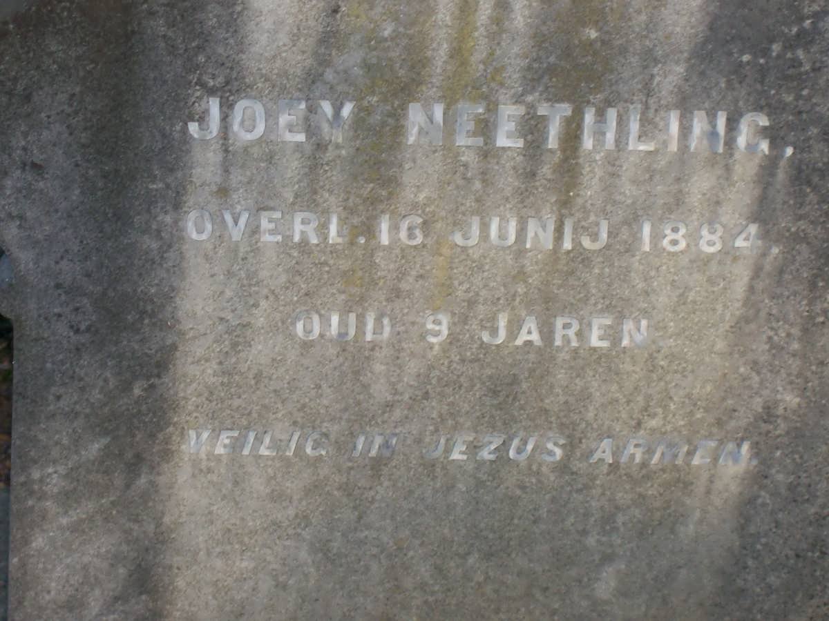 NEETHLING Joey -1884