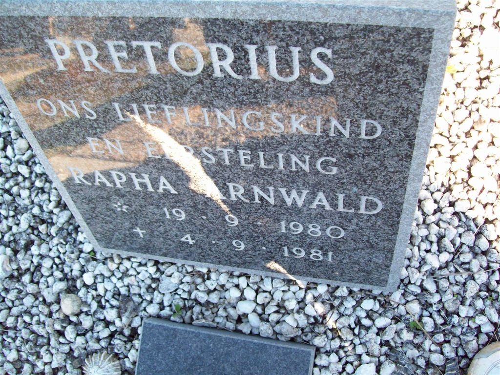 PRETORIUS Rapha Arnwald 1980-1981