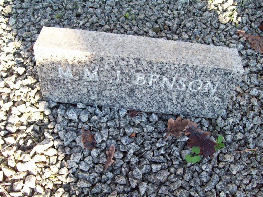 BENSON M.M.J.