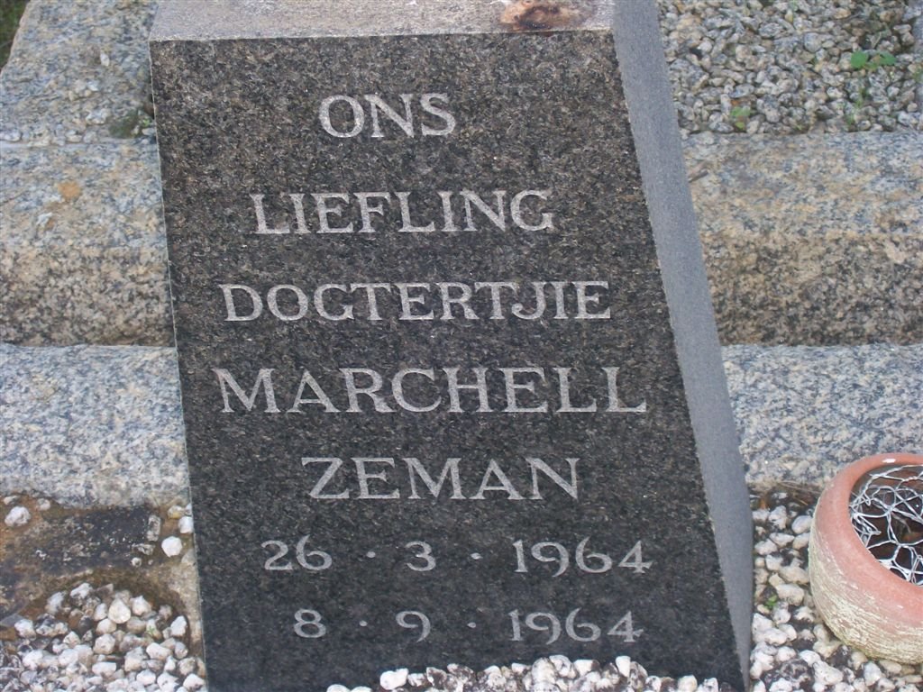 ZEMAN Marchell 1964-1964