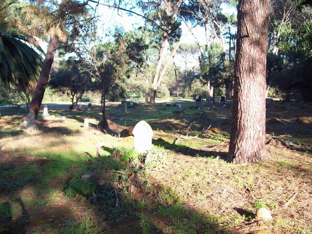 04. Overview
