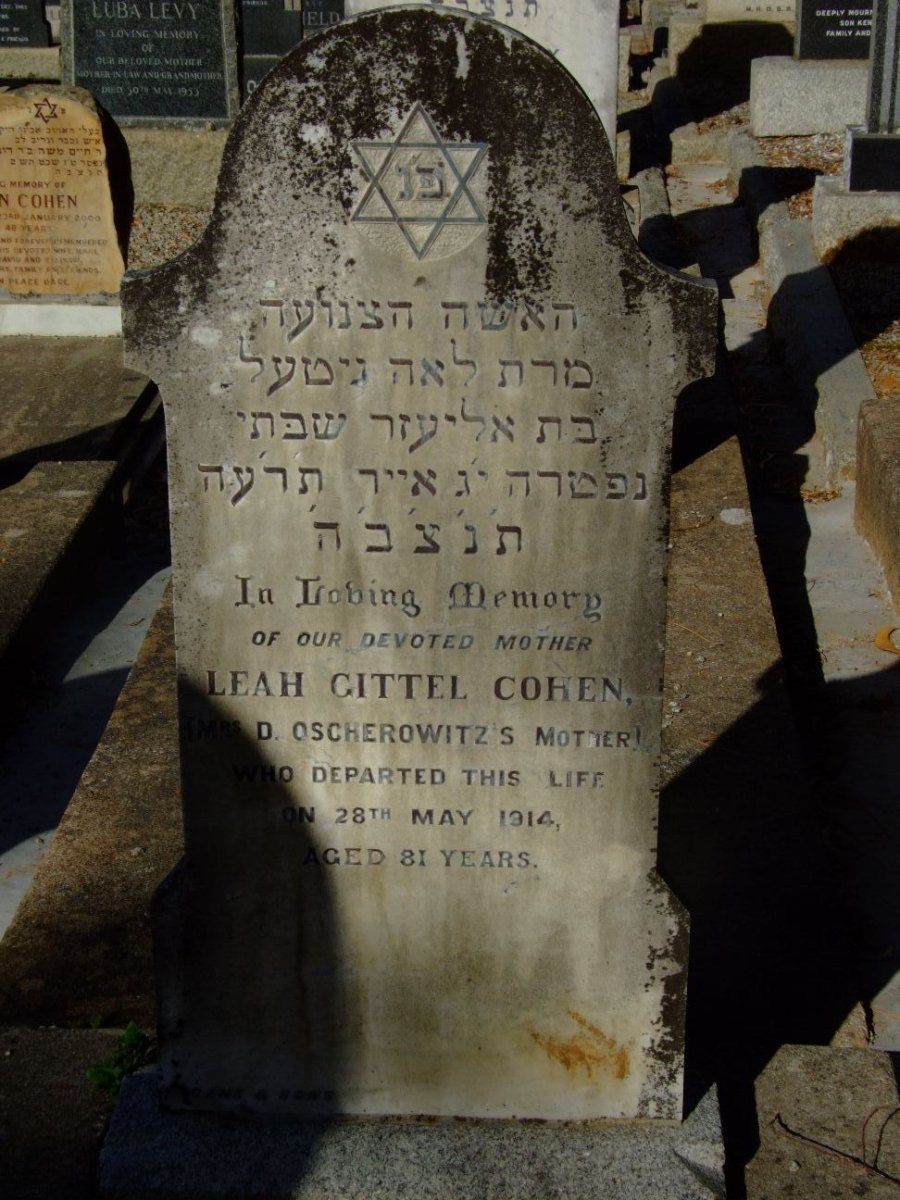 COHEN Leah Gittel -1914