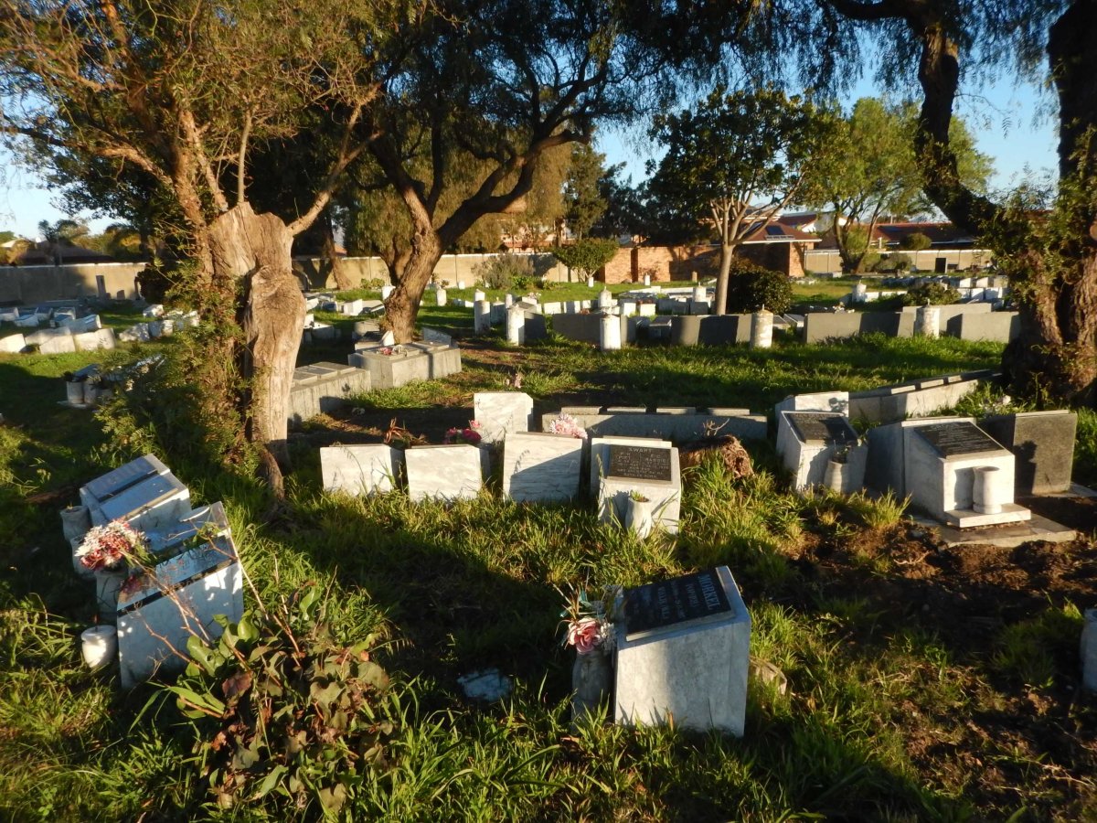 1. Overview