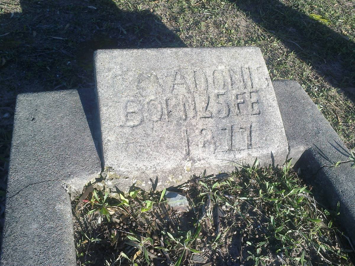 ADONIS ? 1877-