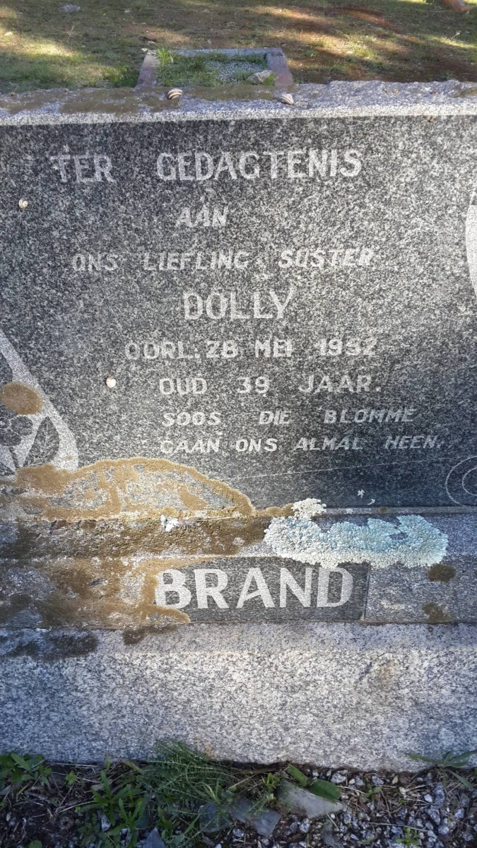 BRAND Dolly -1952